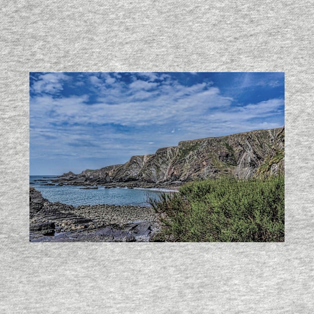 Hartland Quay Devon by avrilharris